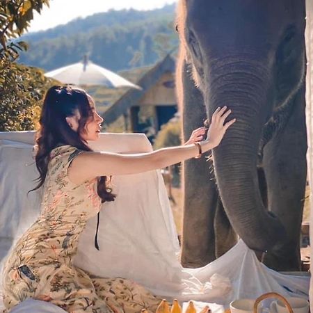 3 Pok Maewang Jinxiang Gold Elephant Park Mae Wang Zewnętrze zdjęcie