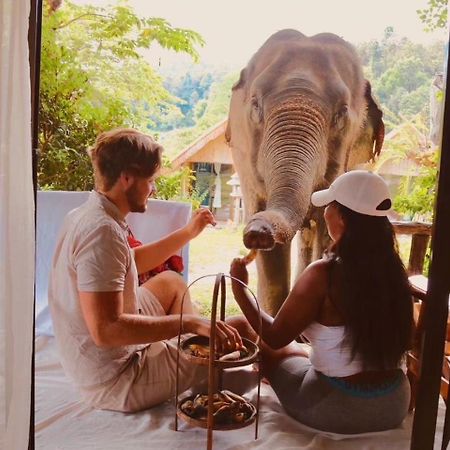 3 Pok Maewang Jinxiang Gold Elephant Park Mae Wang Zewnętrze zdjęcie