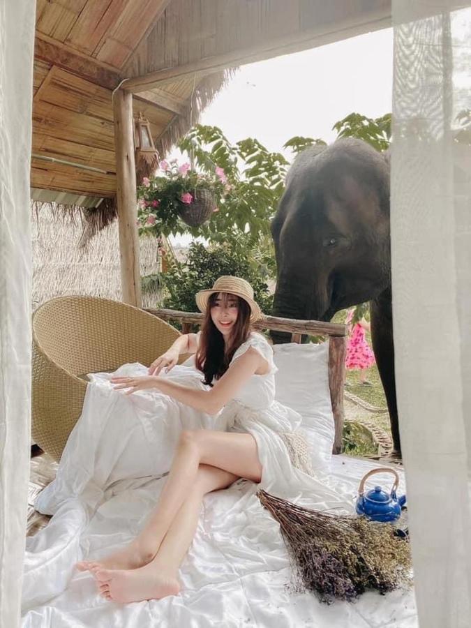 3 Pok Maewang Jinxiang Gold Elephant Park Mae Wang Zewnętrze zdjęcie