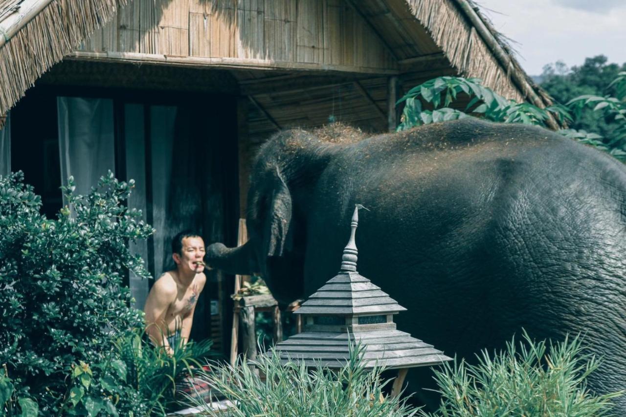 3 Pok Maewang Jinxiang Gold Elephant Park Mae Wang Zewnętrze zdjęcie