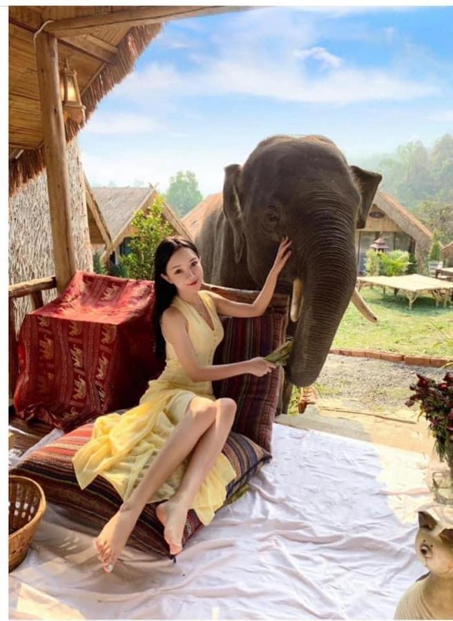 3 Pok Maewang Jinxiang Gold Elephant Park Mae Wang Zewnętrze zdjęcie