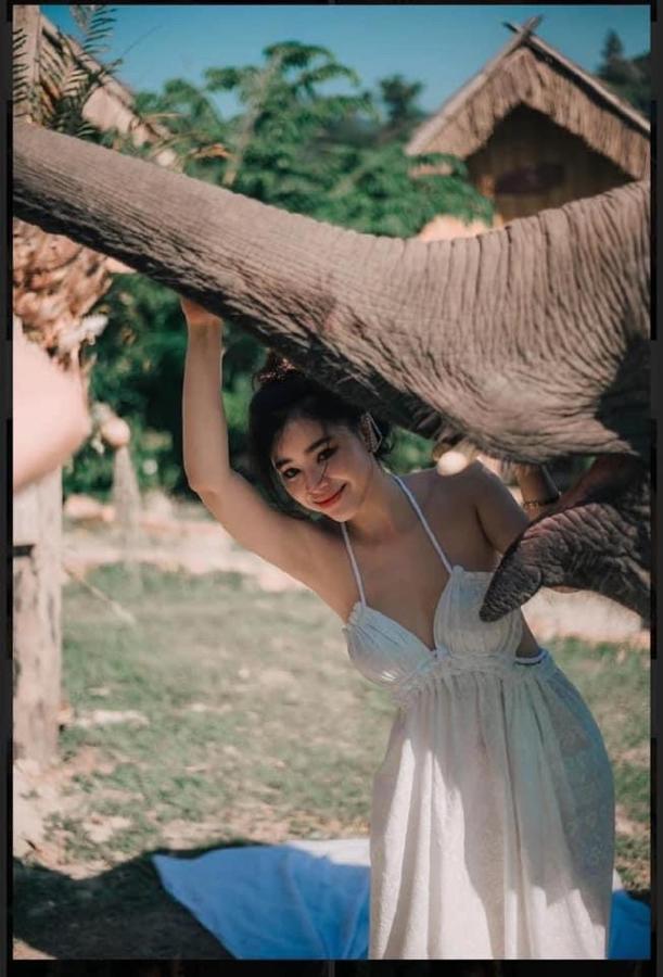 3 Pok Maewang Jinxiang Gold Elephant Park Mae Wang Zewnętrze zdjęcie