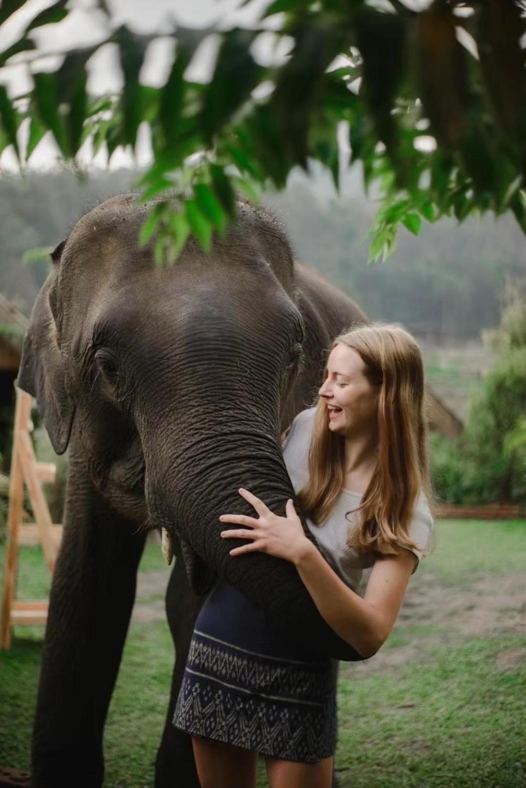 3 Pok Maewang Jinxiang Gold Elephant Park Mae Wang Zewnętrze zdjęcie