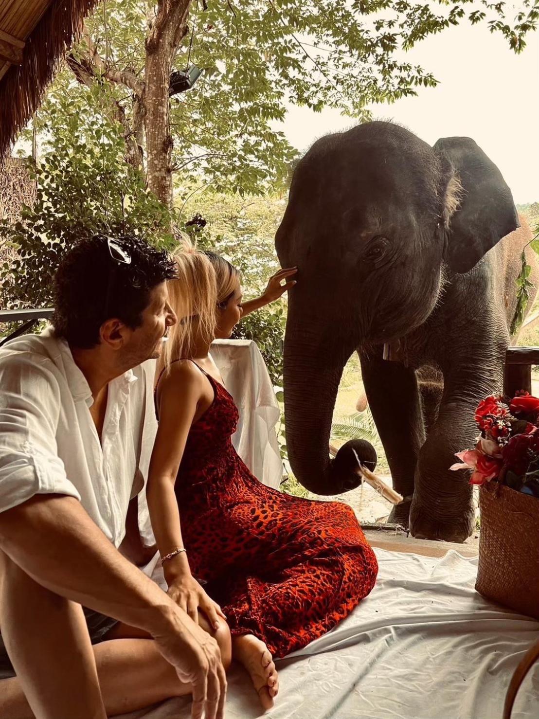 3 Pok Maewang Jinxiang Gold Elephant Park Mae Wang Zewnętrze zdjęcie