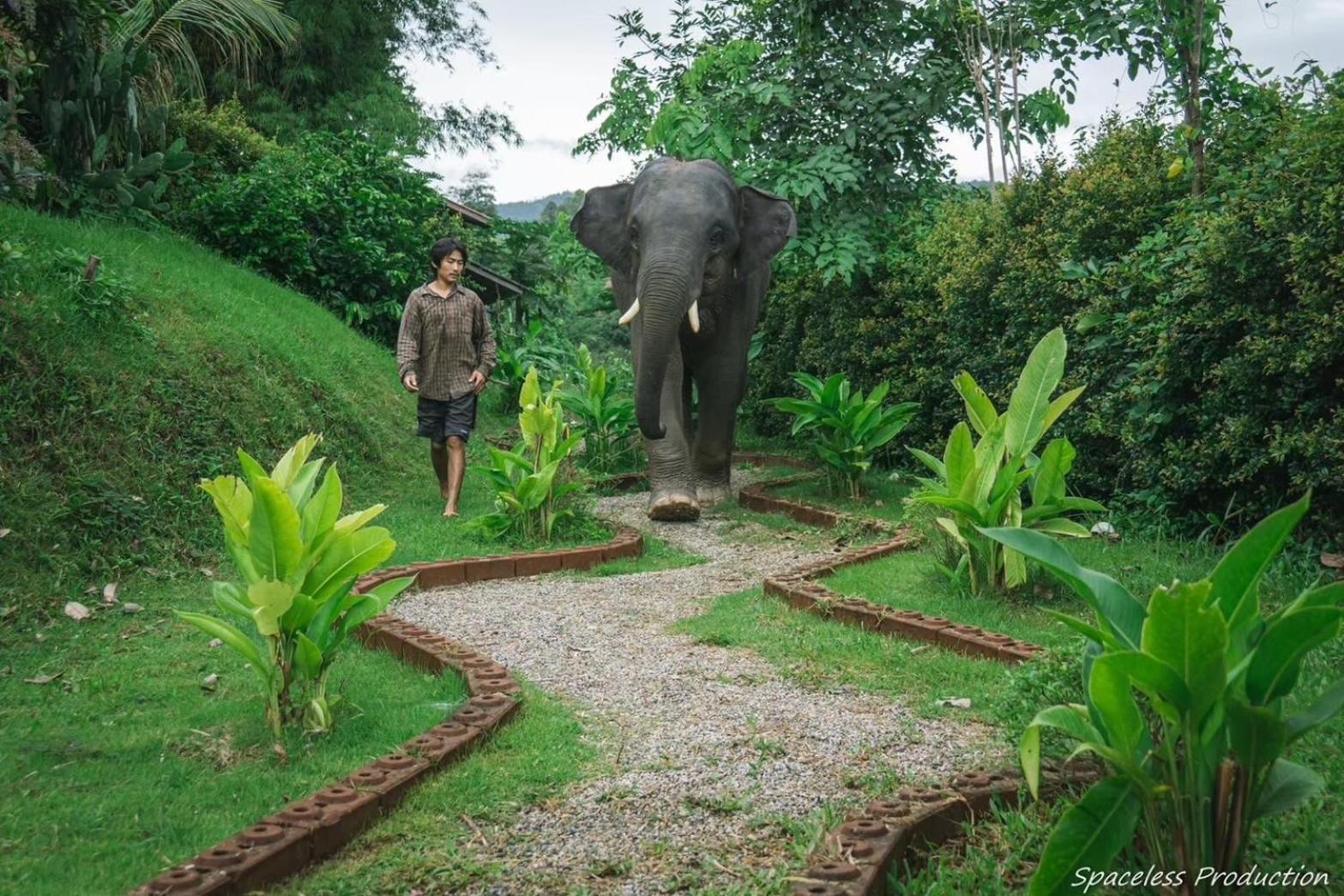 3 Pok Maewang Jinxiang Gold Elephant Park Mae Wang Zewnętrze zdjęcie