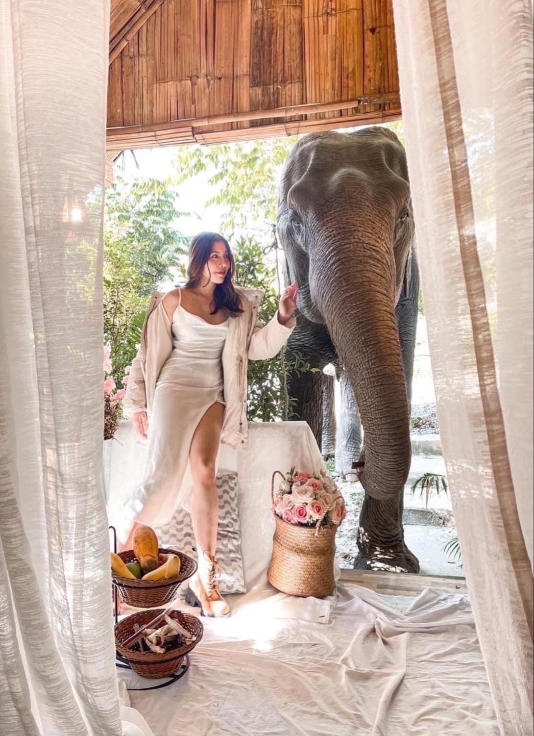 3 Pok Maewang Jinxiang Gold Elephant Park Mae Wang Zewnętrze zdjęcie