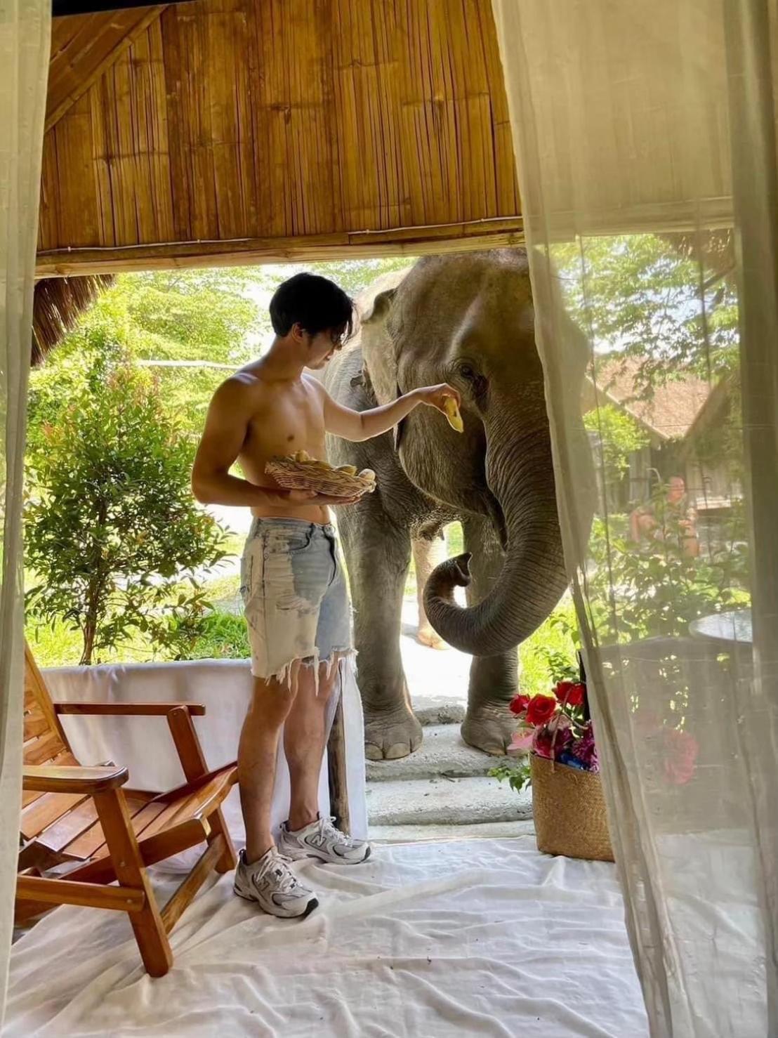 3 Pok Maewang Jinxiang Gold Elephant Park Mae Wang Zewnętrze zdjęcie
