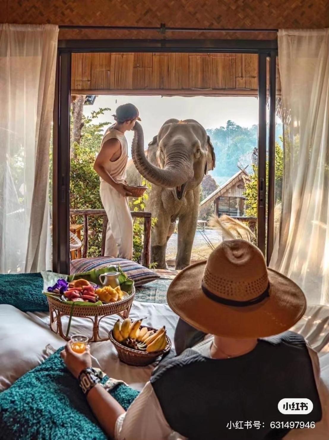 3 Pok Maewang Jinxiang Gold Elephant Park Mae Wang Zewnętrze zdjęcie