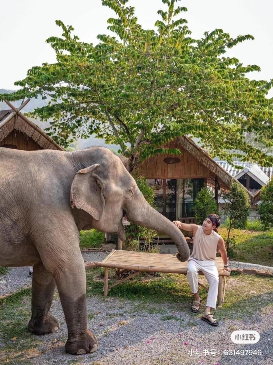 3 Pok Maewang Jinxiang Gold Elephant Park Mae Wang Zewnętrze zdjęcie