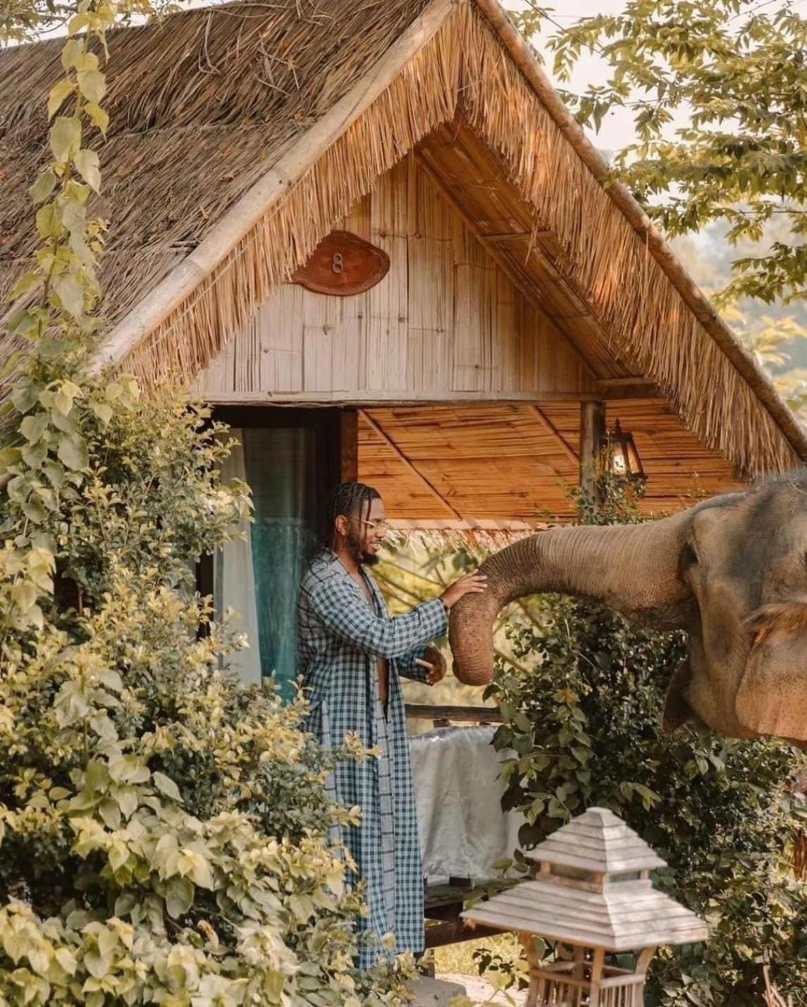 3 Pok Maewang Jinxiang Gold Elephant Park Mae Wang Zewnętrze zdjęcie
