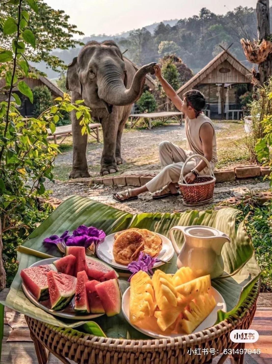3 Pok Maewang Jinxiang Gold Elephant Park Mae Wang Zewnętrze zdjęcie
